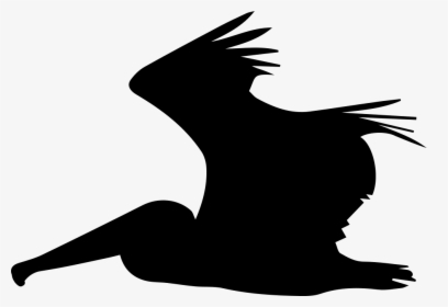 Pelican Flying Side Silhouette - Рисунки Для Театра Теней, HD Png Download, Free Download