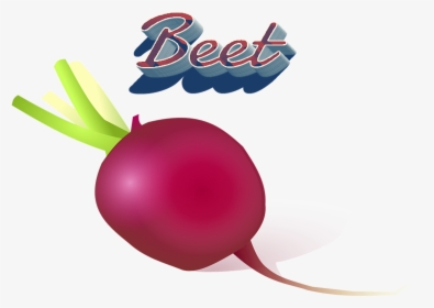 Beet Png Clipart - Vegetable, Transparent Png, Free Download