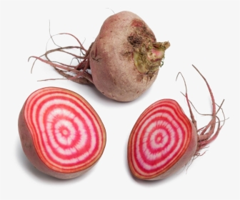 Chioggia Beet - Chioggia Beets, HD Png Download, Free Download