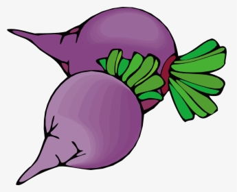Beetroot Sugar Beet Vegetable Clip Art - Beets Clipart, HD Png Download, Free Download