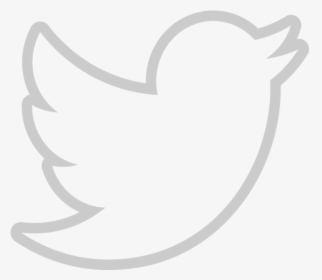 Twitter Logo Transparent Background Png Images Free Transparent Twitter Logo Transparent Background Download Kindpng