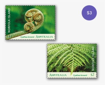 Norfolk Island Tree Fern 2019 Australia Post Sheet, HD Png Download, Free Download
