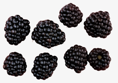 Blackberries Png, Transparent Png, Free Download