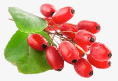 Fresh Goji Berries - Fruit Indian Barberry, HD Png Download, Free Download