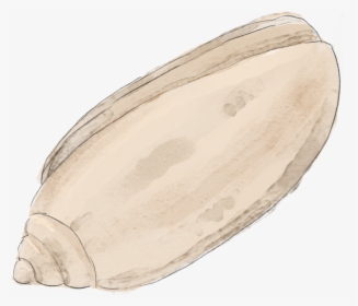 Olive, HD Png Download, Free Download