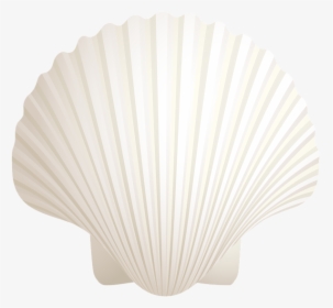 Shell, HD Png Download, Free Download