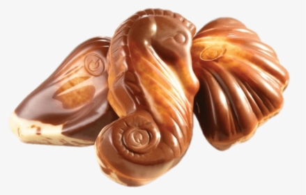 Guylian Chocolate Seashells, HD Png Download, Free Download