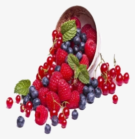 Dried Strawberry And Raspberry, HD Png Download, Free Download