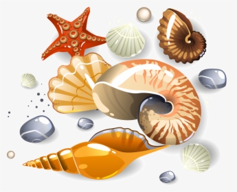Seashell On Sand Cartoon, HD Png Download, Free Download