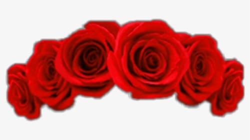 #flower #flowers #flowerpower #roses #redflower #redflowers - Red Flower Crown Png, Transparent Png, Free Download