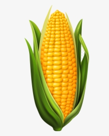 Corn Candy Clipart Food Transparent Clip Art Png - Clipart Corn On The Cob, Png Download, Free Download
