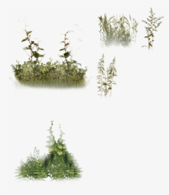 Groundcover Png - Torque 3d - Creating Foliage - Png Ground Cover, Transparent Png, Free Download