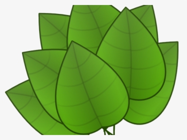 Foliage Clipart Dahon - Parts Of The Plants Leaf, HD Png Download, Free Download