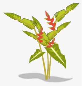 Transparent Tropical Plants Png - Heliconia Clipart, Png Download, Free Download