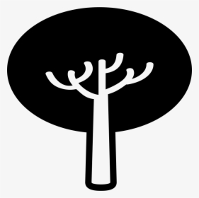 Tree Of Oval Horizontal Foliage - Icon, HD Png Download, Free Download