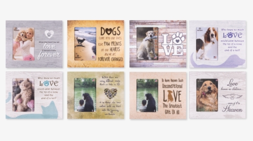 Assortment"  Class="lazyload Blur Up"  Style="width - Pug, HD Png Download, Free Download