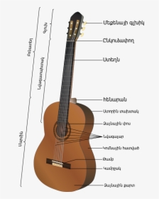 Transparent Indian Music Instruments Png - Parts Of A Classical Guitar, Png Download, Free Download