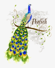 Poster Peacock Art Nouveau, HD Png Download, Free Download