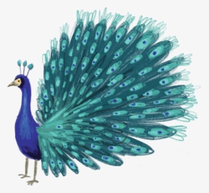 Blue Peacock, HD Png Download, Free Download
