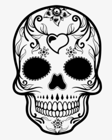 Day Of The Dead Sugar Skull - Day Of The Dead Skull Drawing, HD Png Download, Free Download
