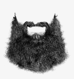 Wizard Beard Png Images Free Transparent Wizard Beard Download