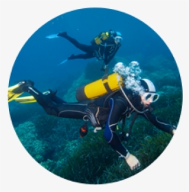 Scuba Diver Png Images Free Transparent Scuba Diver Download Kindpng