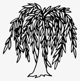 Willow Tree Clip Art, HD Png Download, Free Download