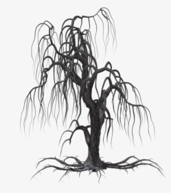 Tree Weeping Willow Drawing Clip Art - Transparent Background Spooky Tree Png, Png Download, Free Download
