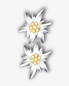 Binary Edelweiss Patterned Flat Picture - Artificial Flower, HD Png Download, Free Download