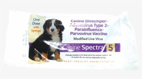 Canine Spectra 5, HD Png Download, Free Download