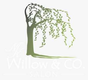 Willow And Co - Calligraphy, HD Png Download, Free Download