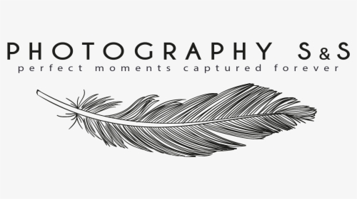 Wedding Photography - Photography Text Logo Png, Transparent Png, Free Download