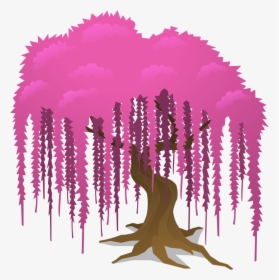 Weeping Willow Pink - Pink Weeping Willow, HD Png Download, Free Download