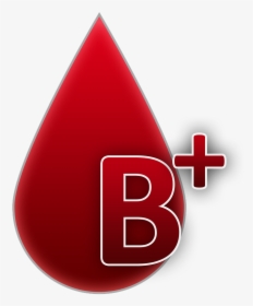 Blood Group B Rh Factor Positive Free Picture - Blood Group B Positive, HD Png Download, Free Download