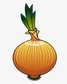 Onion Icon Design - Icon Cebolla Png, Transparent Png, Free Download