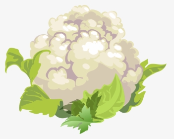 Grape Vegetable Fruit Cauliflower - Cauliflower Vector Png, Transparent Png, Free Download