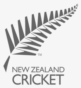 New Zealand Cricket Team Logo Png Free Download Searchpng Nz Cricket Team Logo Transparent Png Kindpng