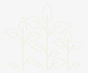 Plants - Drawing, HD Png Download, Free Download