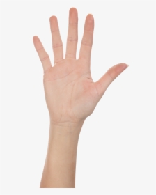 High Five Hand Png, Transparent Png, Free Download