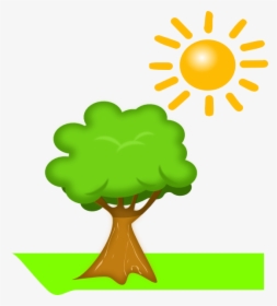 Sun Tree Kids Png, Transparent Png, Free Download