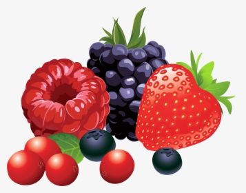 Berry Fruit Clip Art - Clipart Fruit Png, Transparent Png, Free Download