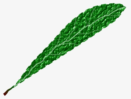 This Free Icons Png Design Of Green Leaf, Textured, Transparent Png, Free Download