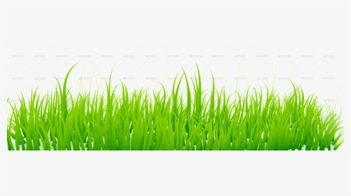 Green Grass White Background , Png Download - Grass Png, Transparent Png, Free Download