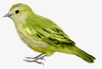 Single Bird Png High-quality Image - Bird Transparent Background, Png Download, Free Download