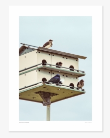 Main Hotel For Birds - Pigeons And Doves, HD Png Download, Free Download