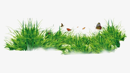 Grass With Flower Background Png Download - Grass Png, Transparent Png, Free Download