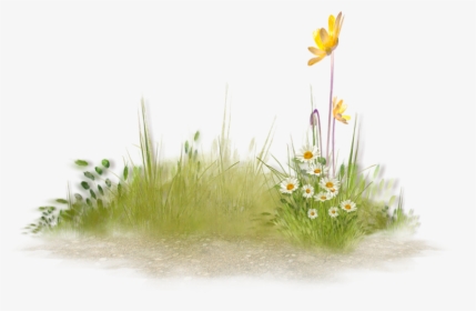 #flower #plant Grass #foreground #background #lawn - Cluster Of Plants Png, Transparent Png, Free Download