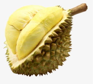 Durian Ripe Mango Clipart - Transparent Background Durian Fruit Png, Png Download, Free Download