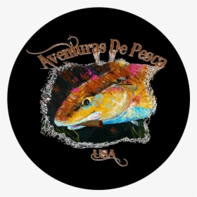 Real Fish Png, Transparent Png, Free Download