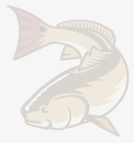 Roesner Real Estate Inspections - Pacific Sturgeon, HD Png Download, Free Download
